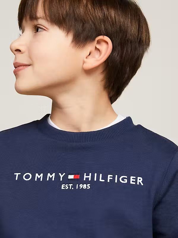 Tommy Hilfiger Sweater