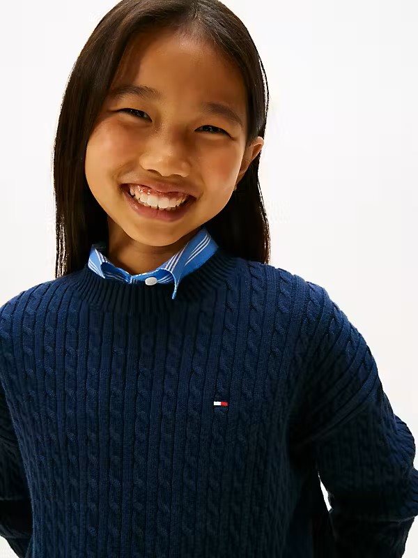 Tommy Hilfiger Pullover